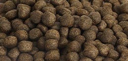 5mm fish feed